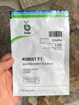 Квасоля Борлотто Borlotto насіння 25 кг протруєне Італія — Photo 15