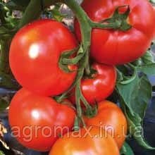 Агроволокно П30 6,35 м * 100 м Agreen Італія — Photo 16
