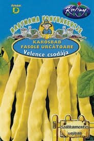 Квасоля Борлотто Borlotto насіння 25 кг протруєне Італія — Photo 22