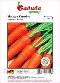Морква — Photo 28