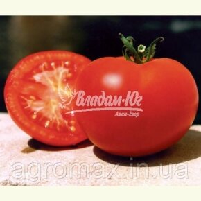 Кавун Крімсон Світ Crimson Sweet насіння 2г Vetomag — Photo 24