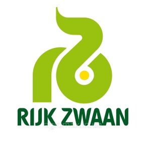 Капуста Заріссіма F1 Zarissima F1 насіння 1000 шт Rijk Zwaan Рійк Цваан — Photo 19