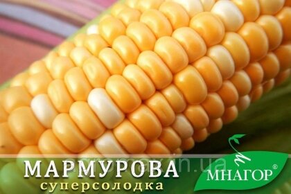 Цукрова кукурудза Мармурова F1, Sh2-тип, 1000 насінин на 1.5 сотки, 70-72 днів, біколор — Photo 1