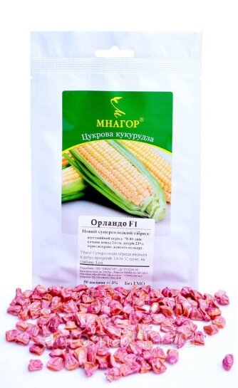 Цукрова кукурудза ОрландоF1, Sh2-тип, 1000 насінин на 1.5 сотки, 78-80 днів — Photo 6
