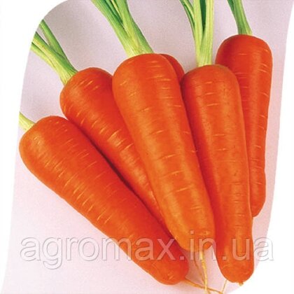 Морква Абако F1 Abaco F1 насіння 1000000 шт ( фракція 1,8-2,0 ) Seminis