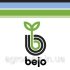 Капуста кольрабі Колібрі F1 Kolibri F1 насіння 1000 шт Bejo Zaden — Photo 3