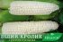 Солодка кукурудза Білий Кролик F1, Sh2-тип, молочно-біле зерно, 200 насінин на 30 м², 72-74 днів — Photo 10