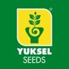 Yuksel seeds logo