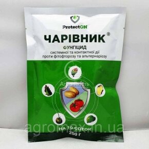 Морква Флакке 0,5 кг Rem seeds — Photo 18