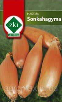 Квасоля Szarazbab Carmen насіння 100g ZKI — Photo 24