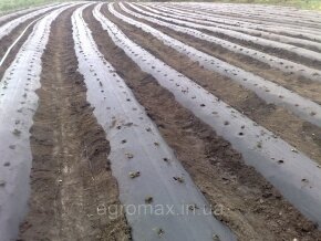 Крапельна стрічка T-Tape ,Rivulis Irrigation 506-10-1350 (3050м) — Photo 27