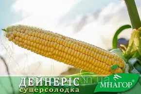 Актара 250 Aktara інсектицид 250 г Syngenta — Photo 23