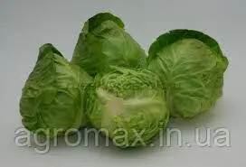 Каталог — Photo 22