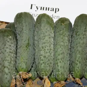 Каталог — Photo 31