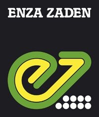Віенна 250 г редис Enza Zaden — Photo 14