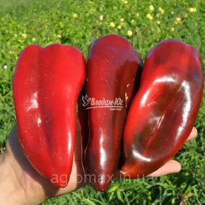 Каталог — Photo 6