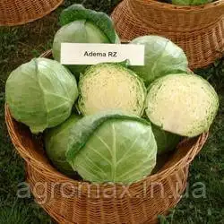 Каталог