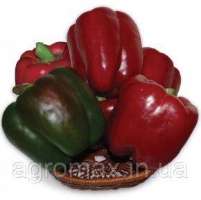 Кавун Крімсон Світ Crimson Sweet насіння 2г Vetomag — Photo 15