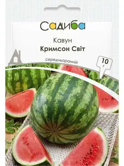 Пошук — Photo 10