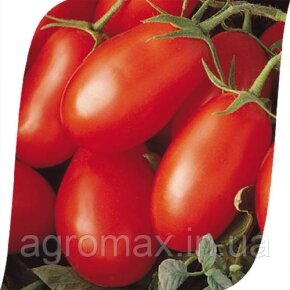 Насіння томата Боцман F1 10 000 с. Lark Seeds — Photo 19
