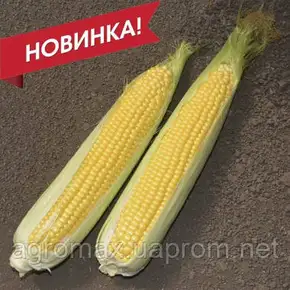 Каталог — Photo 14