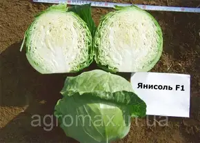 Каталог — Photo 21