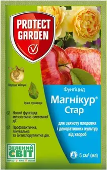 Кавун Маракеш F1 насіння 500 шт Ergon Seeds — Photo 21