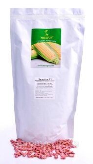 Цукрова кукурудза ОрландоF1, Sh2-тип, 1000 насінин на 1.5 сотки, 78-80 днів — Photo 30