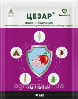 Пошук — Photo 17