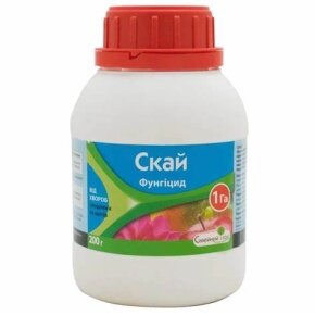 Морква Флакке 0,5 кг Rem seeds — Photo 23