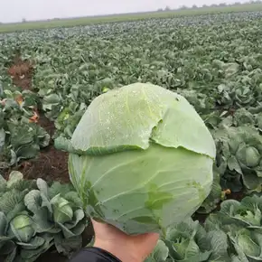 Каталог — Photo 3