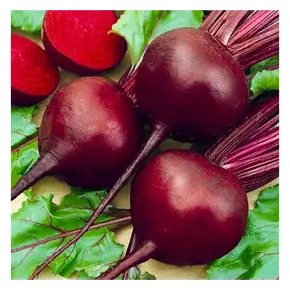 Каталог — Photo 34