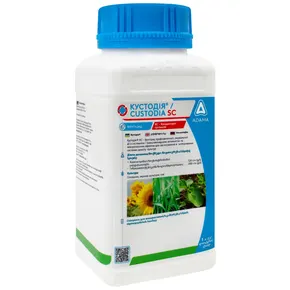 Петрушка Ігл F1 Eagle F1 насіння 50г Bejo — Photo 17