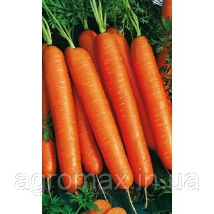 Морква Флакке 0,5 кг Rem seeds