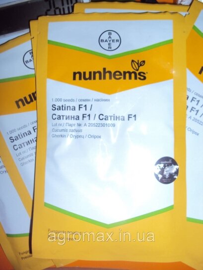 Огірок Сатіна F1 Satina F1 насіння 1000 шт Nunhems — Photo 1