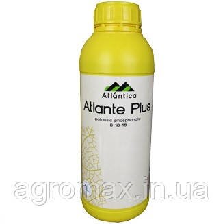 Атланте Плюс Atlante Plus мікродобриво 1л Atlantica Атлантіка Agricola