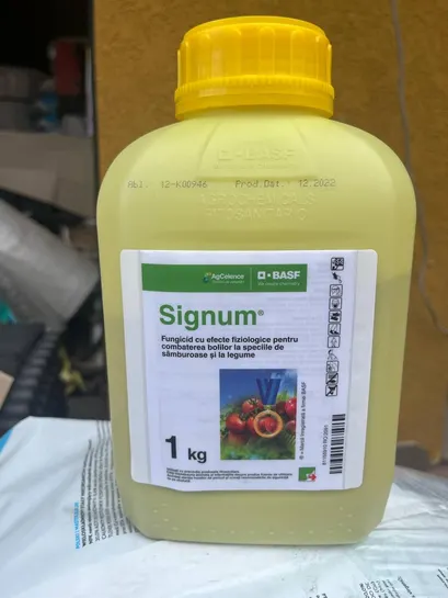 Сігнум Signum 1 кг фунгіцид BASF Басф ЄВРО