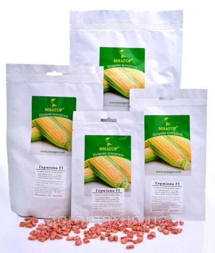 Цукрова кукурудза Герміона F 1, 1000 насінин на 1.5 сотки, 71-73 днів, ранньостиглий