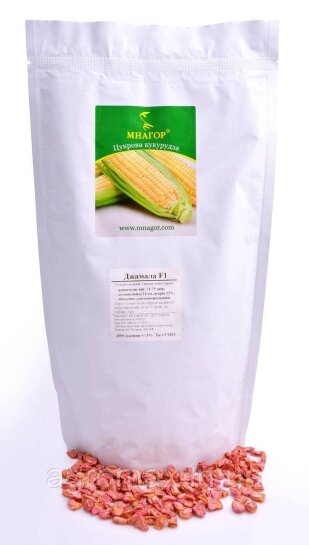 Насіння цукрової кукурудзи Джамала F1, Sh2-тип, 200 на 30 м2, 73-75 днів Ранньостиглий — Photo 7