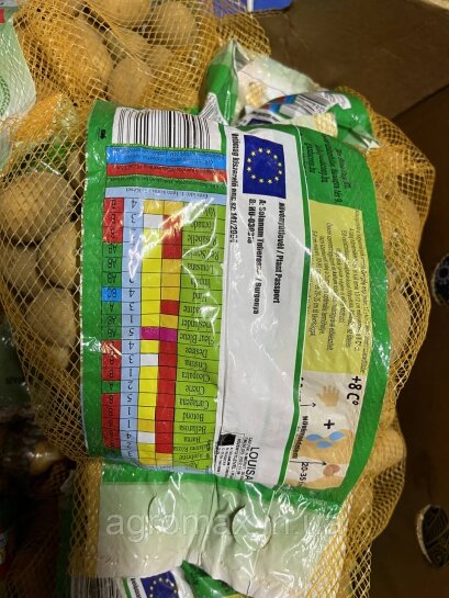 Картопля Луізіана 50 бульб Венгрія — Photo 2