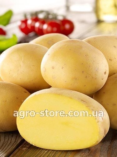 Картопля Констанс 1 репродукція 2,5кг Агріко