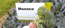 Капуста Монако F1 2500 с. Syngenta — Photo 1