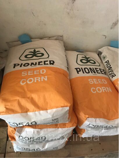 Семена кукурузы Pioneer П9549 P9549 Венгрія