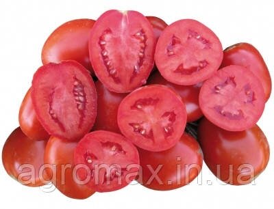 Насіння томату Геракл F1 10 000 н.