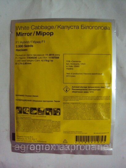 Капуста рання Мірор F1 Miror F1 насіння 2500 шт Syngenta — Photo 2