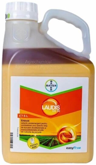 Лаудіс Laudis 5л гербіцид Bayer (Німеччина)