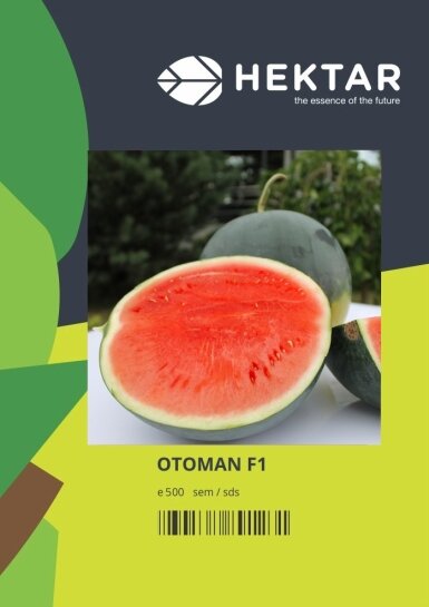 Кавун Отоман F1 Otoman F1 насіння 100 шт Hektar — Photo 1