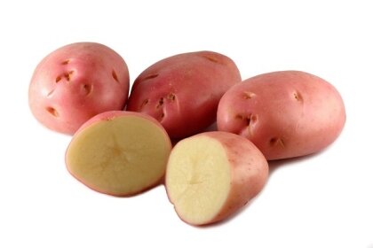 Картопля Есмее 50 бульб — Photo 1