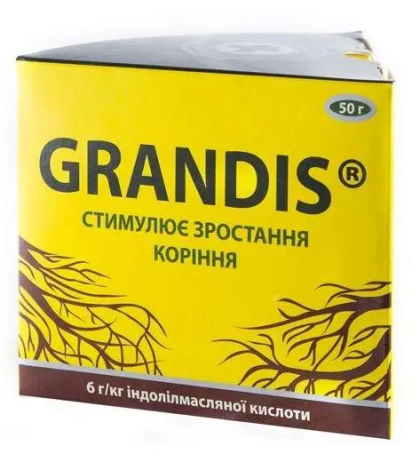 Грандіс GRANDIS Стимулятор росту коренів Укорінювач Швидка допомога 50г Кіссон Агро