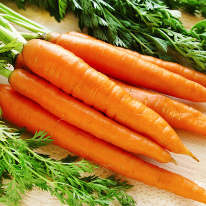 Морква СКАРЛА 0,5 кг. Clause